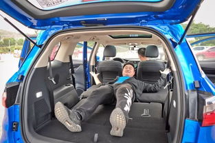 龙颜汽车多少钱